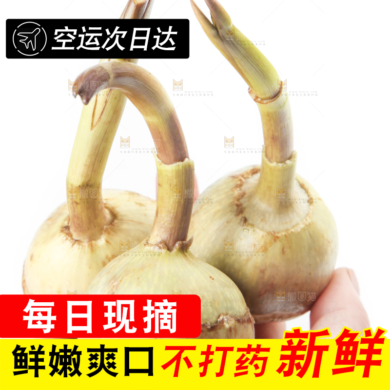 手里拿着茨菰