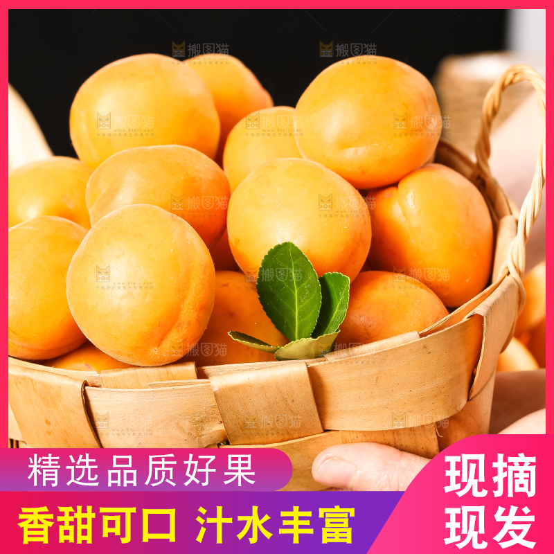 手里拿着一篮山东大黄杏