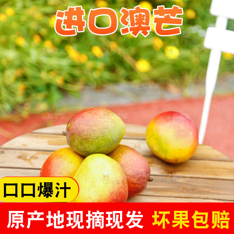 桌子上摆放着澳芒