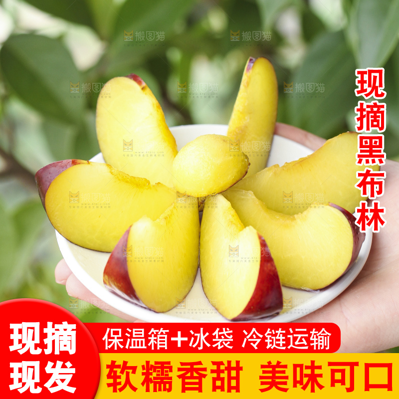 手里拿着一盘黑布林