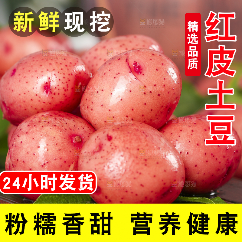 木底上摆放着云南红皮土豆