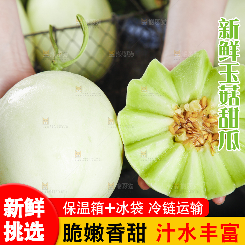 手里拿着南汇玉菇甜瓜