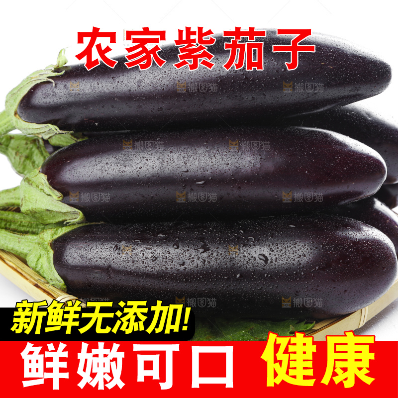 篮子里装着紫茄子