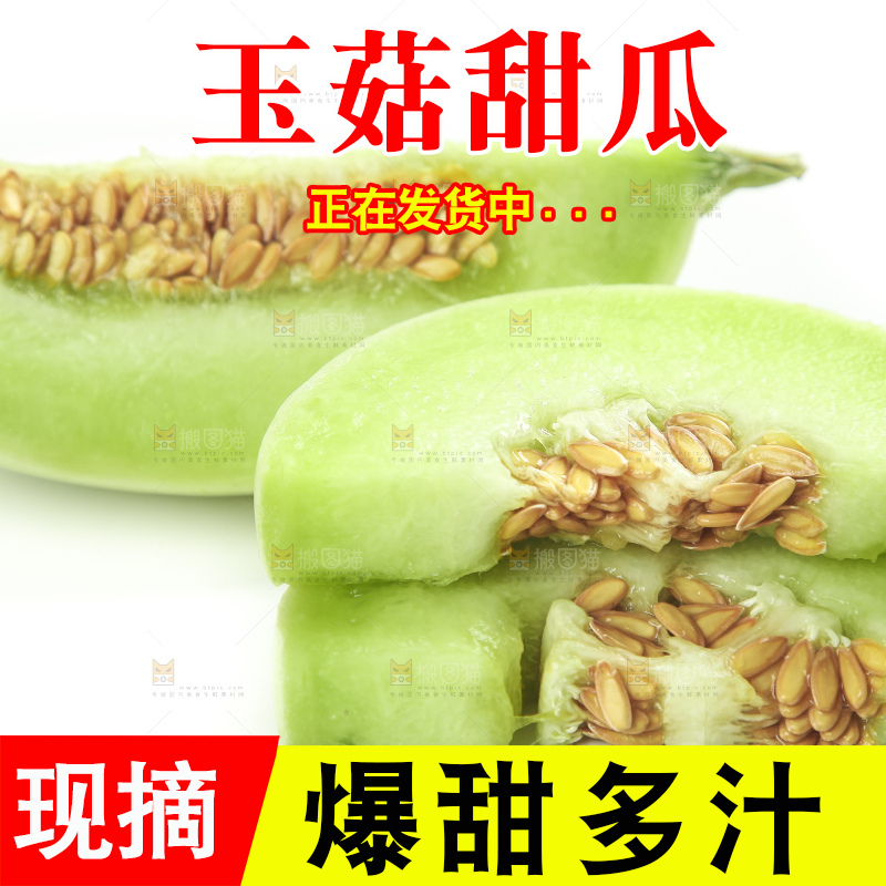 白底上摆放着山东玉菇甜瓜