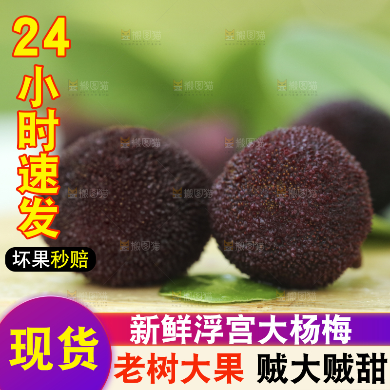 木底上摆放着圣生梅