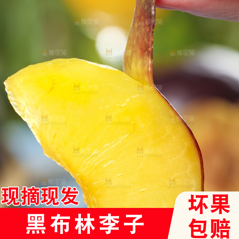 手里拿着黑李子