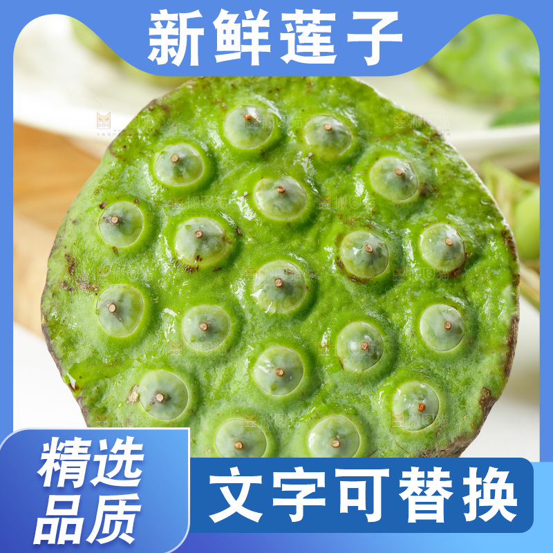 白底上摆放着莲蓬