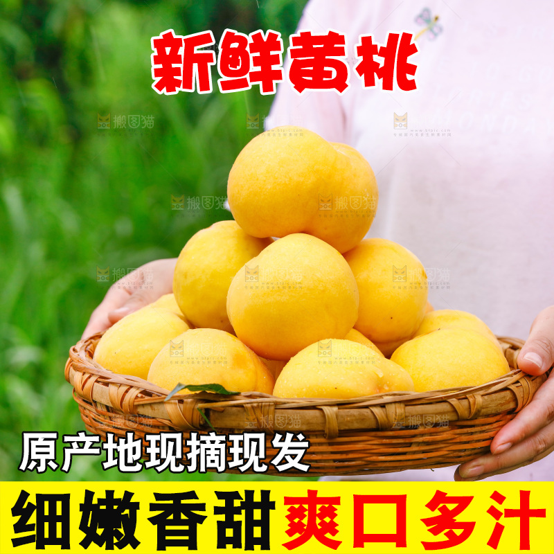 手里端着采摘的黄桃