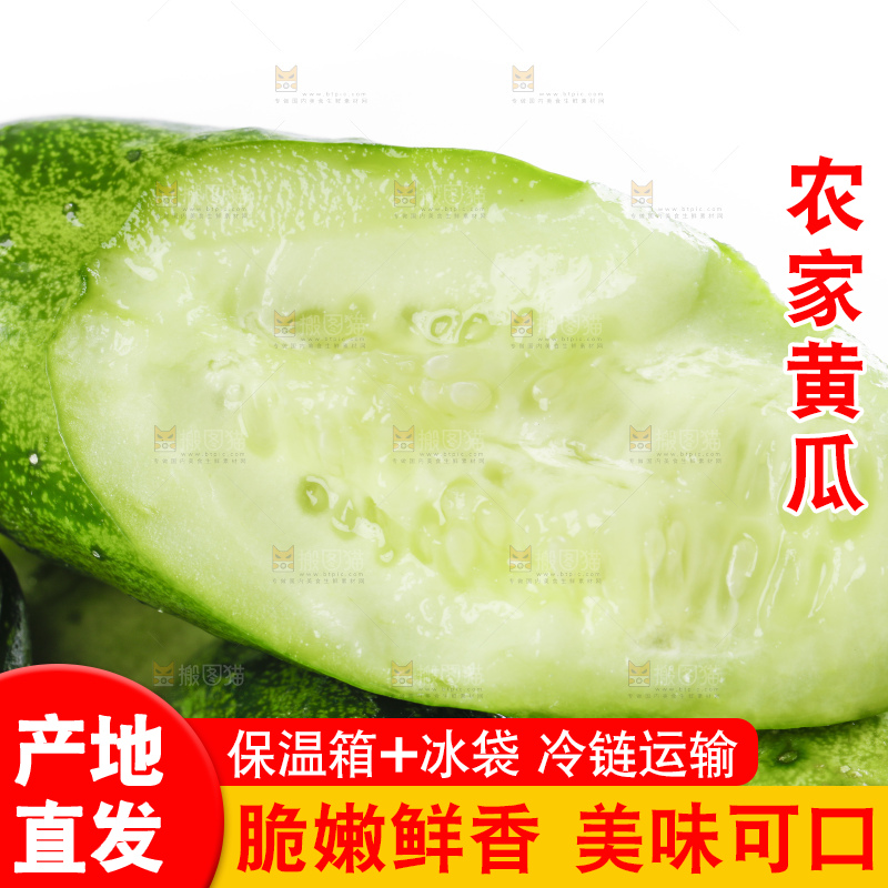 白底上放着刺黄瓜