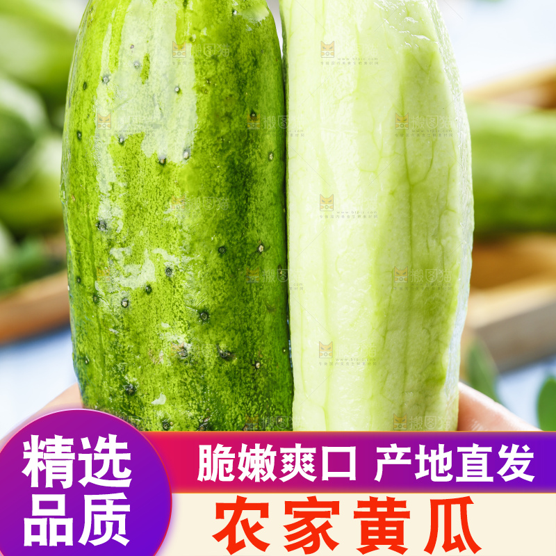 手里拿着黄瓜