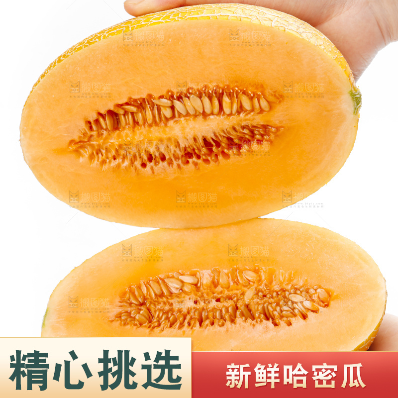 手里拿着新疆黄皮哈密瓜