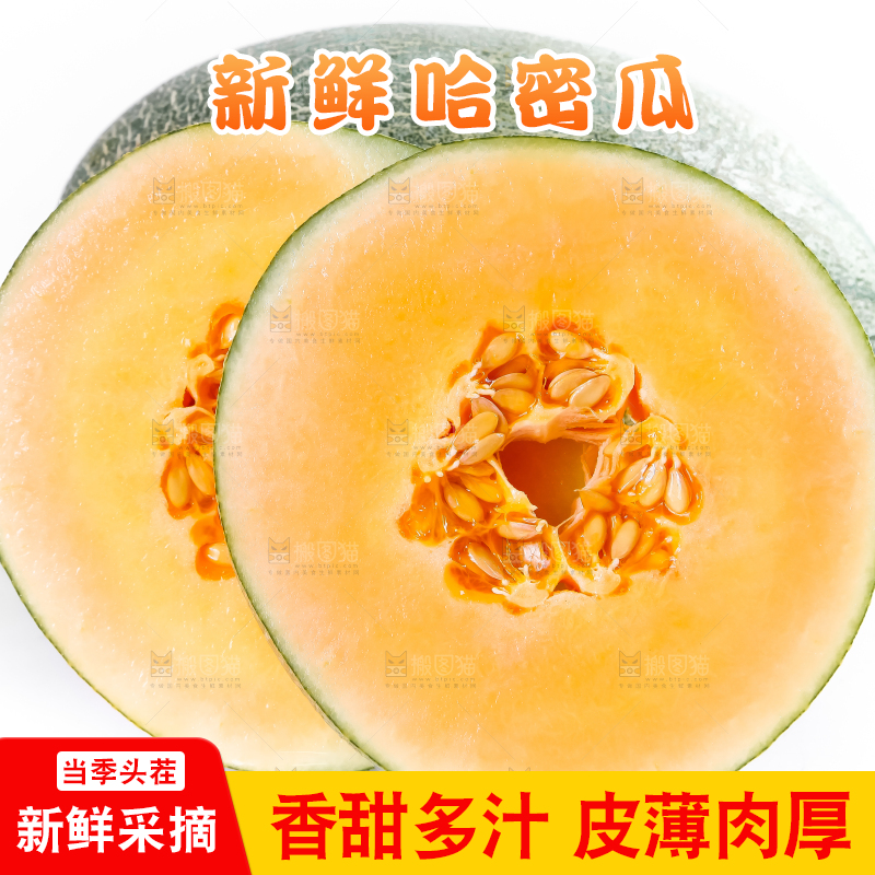 白底上摆放着网纹瓜
