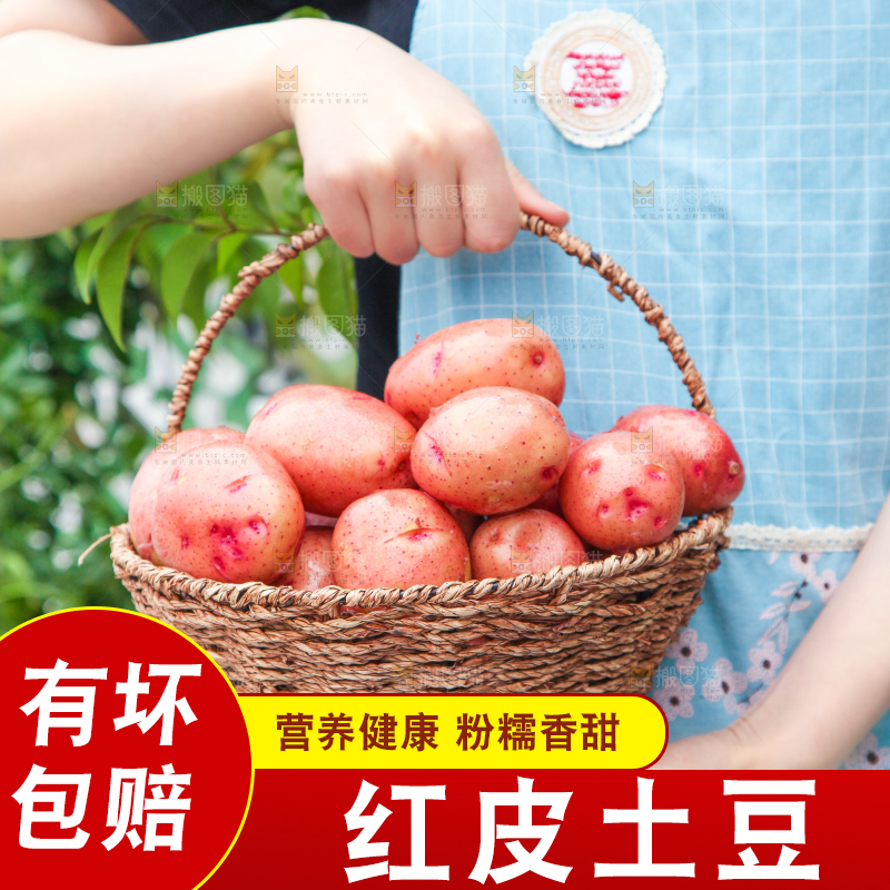 手里提着一篮土豆