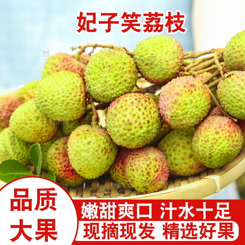 手里拿着妃子笑荔枝