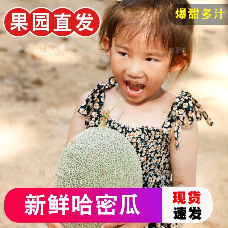 小女孩手里抱着网纹瓜