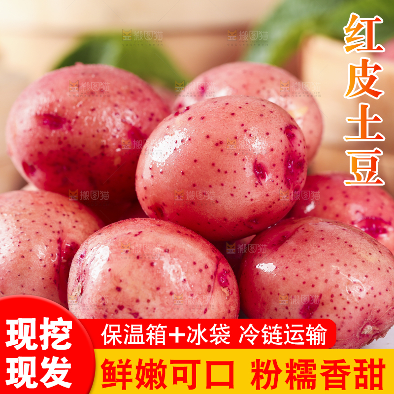 白底上摆放着小土豆