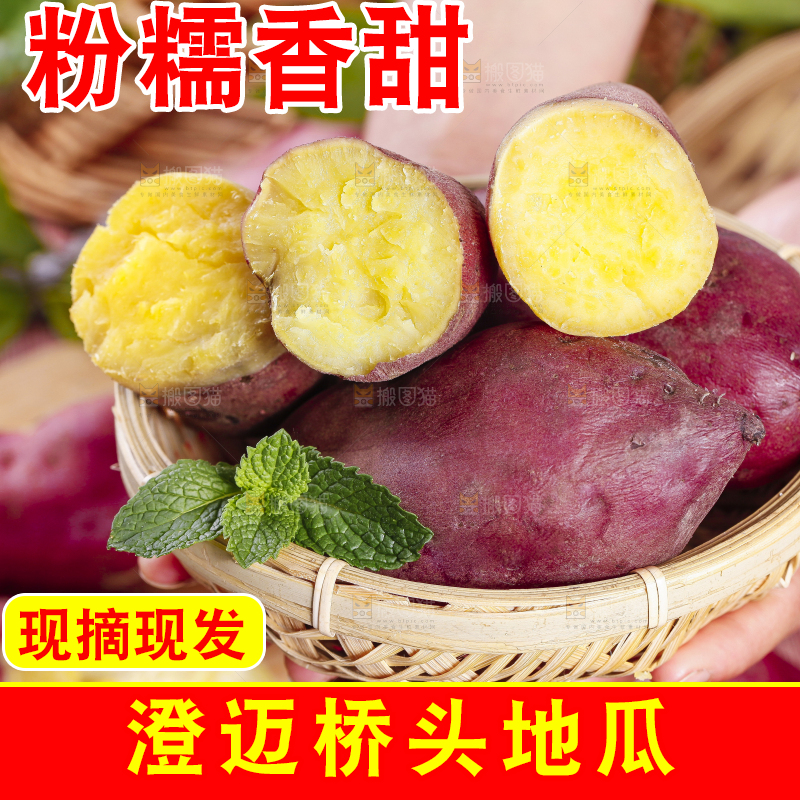 篮子里放着沙地红薯