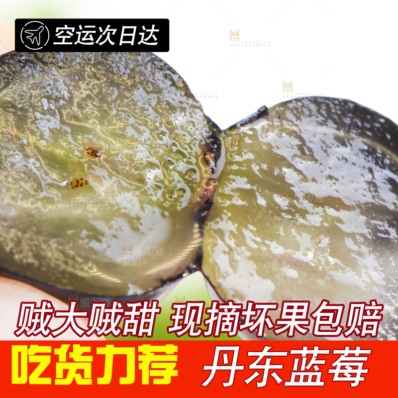 手里拿着蓝莓果