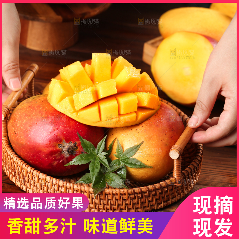 手里提着一篮台湾爱文芒