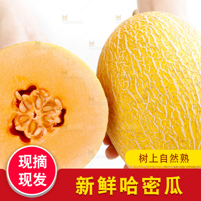 手里拿着新疆黄皮哈密瓜