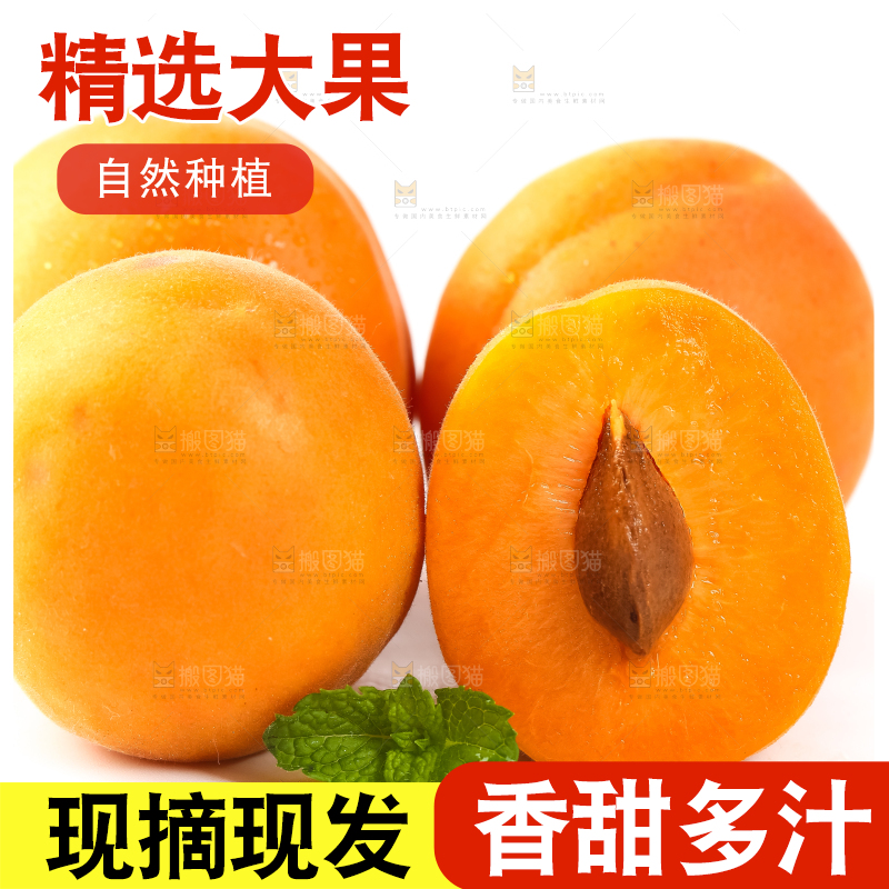 白底上放着陕西新鲜大黄杏