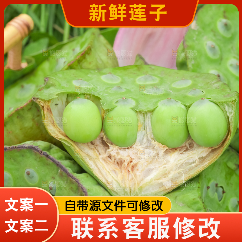 堆放着一堆的莲蓬