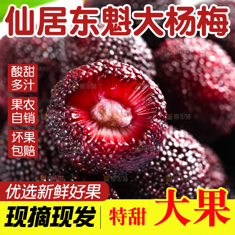 盘子里装着鲜杨梅