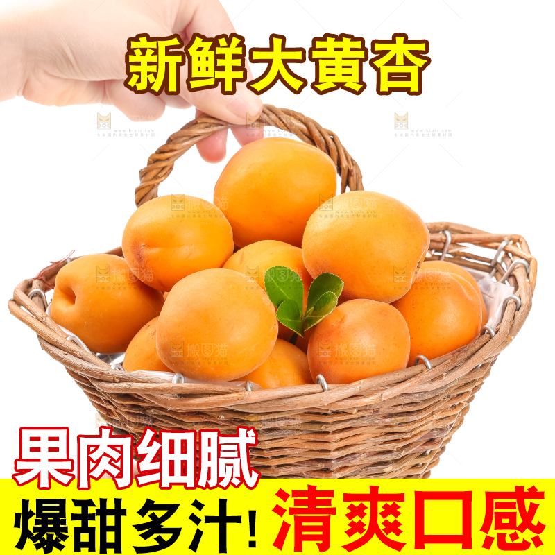 篮子里装着杏子