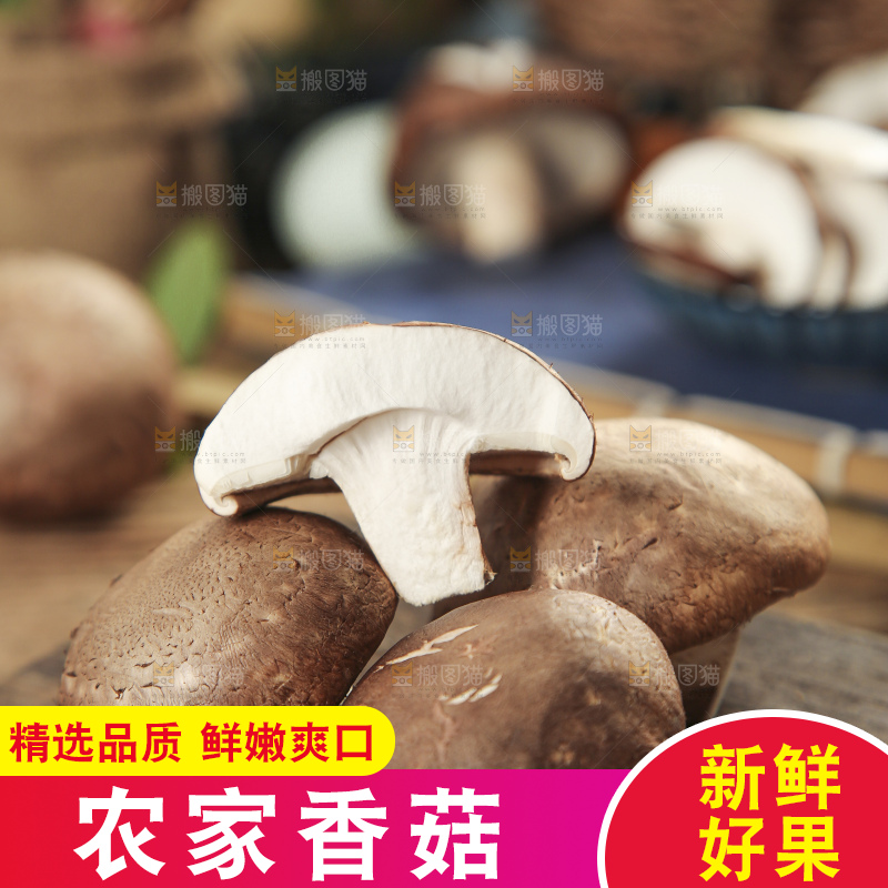 木底上摆放着湖北香菇