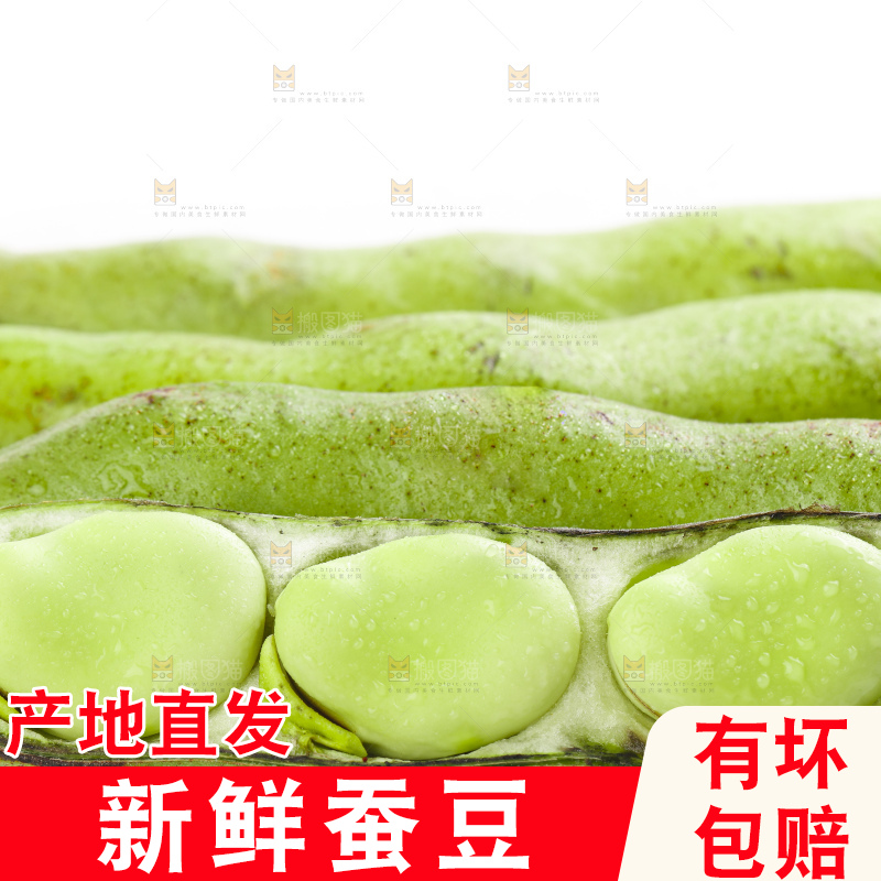 白底上摆放着生蚕豆