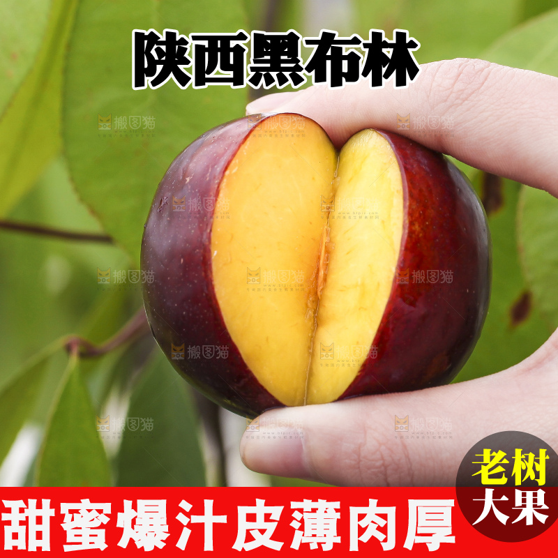 手里拿着黑布李