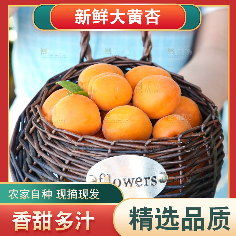 手里拿着一篮黄杏