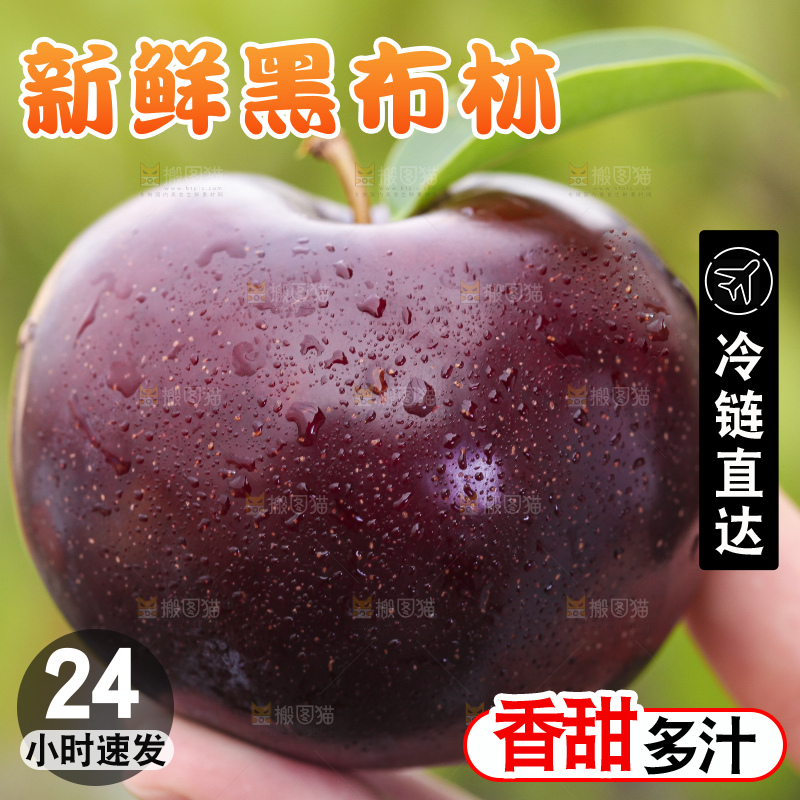 手里拿着黑布林