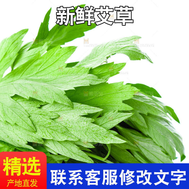 白底上放着艾草叶