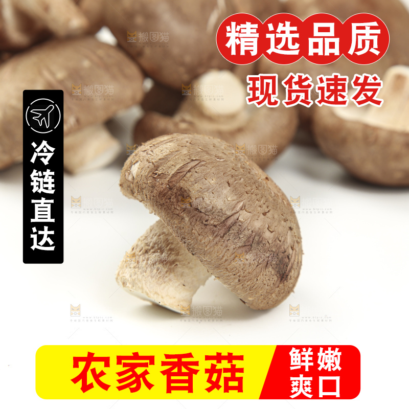 白底上放着香菇
