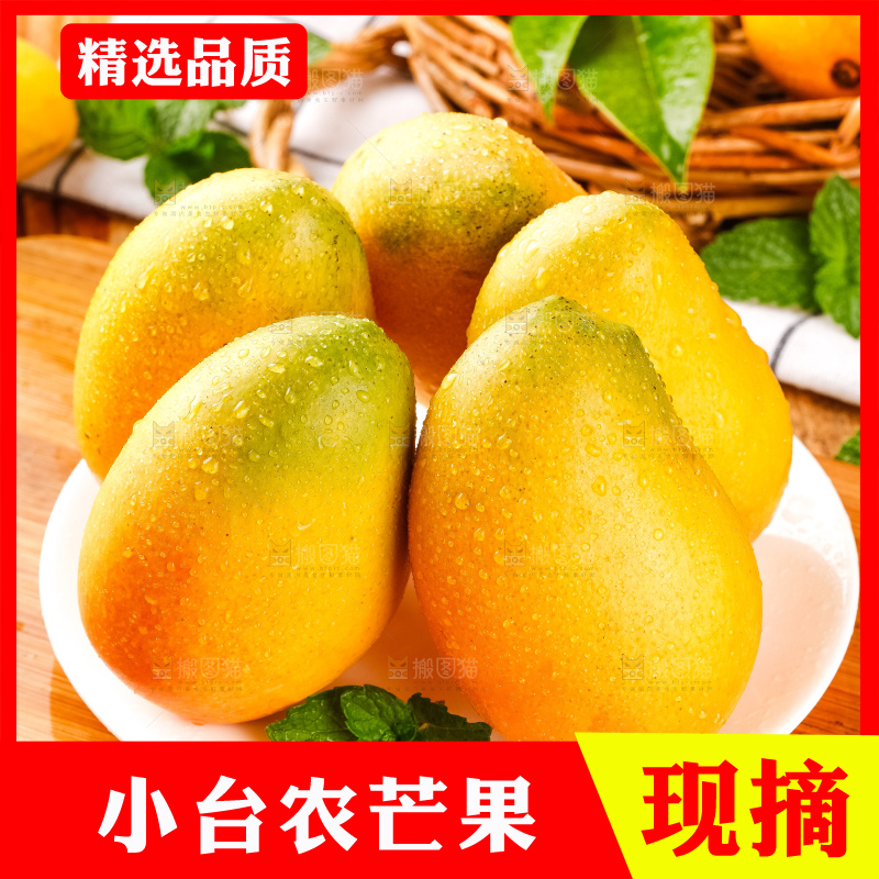 木板上摆放着广西小台芒