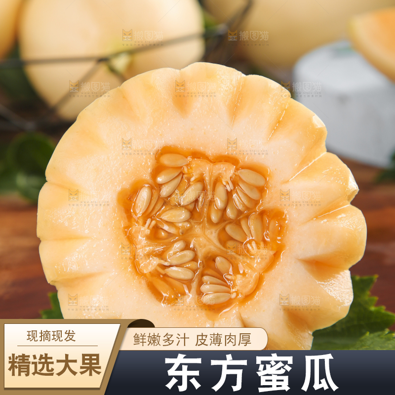 木底上摆放着州东方蜜一号甜瓜