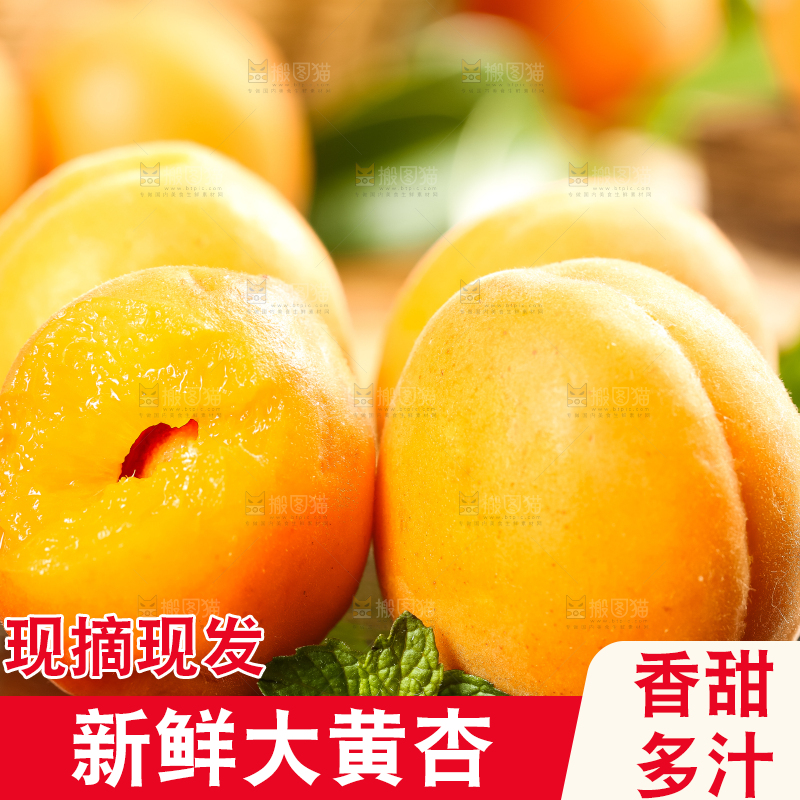 黑底上放着黄杏