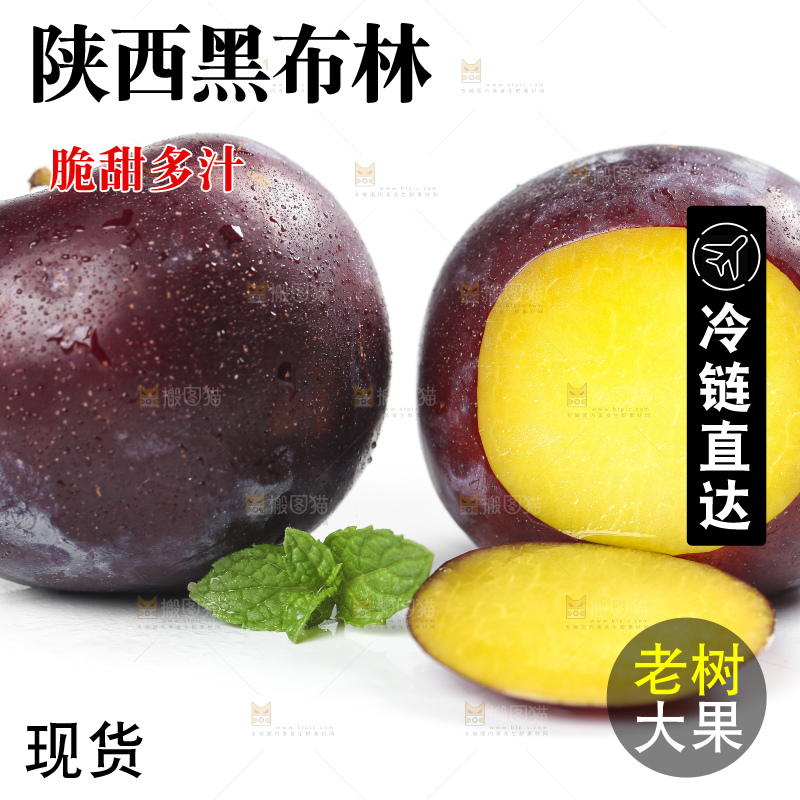 白底上放着智利黑布林李子