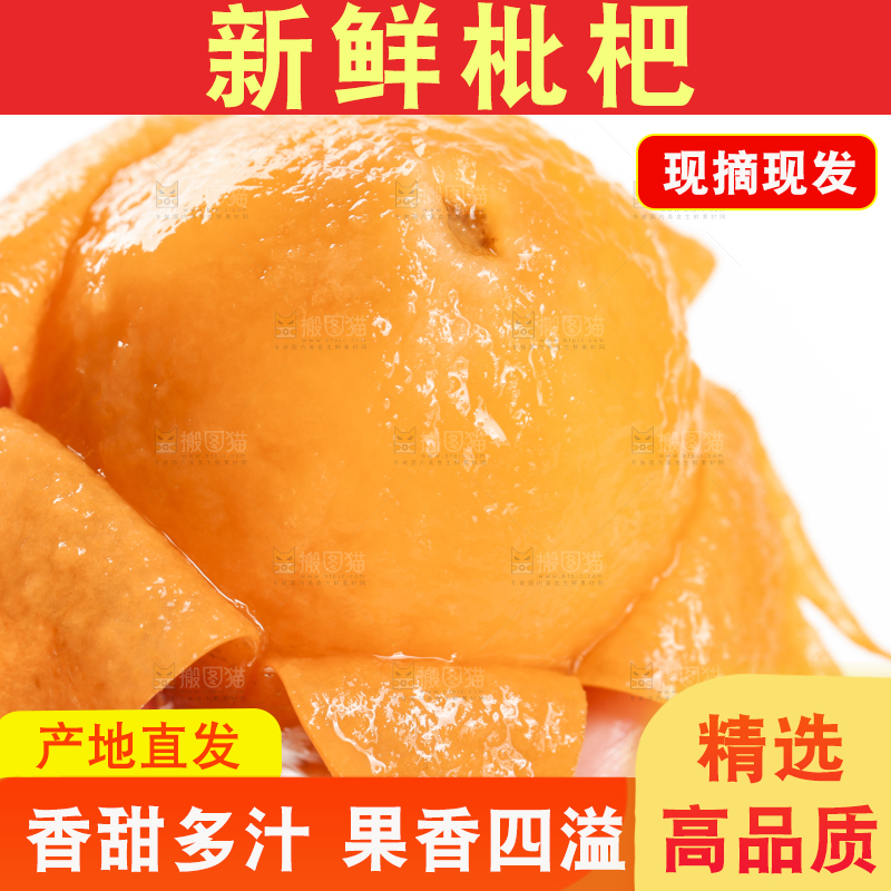 手里拿着枇杷