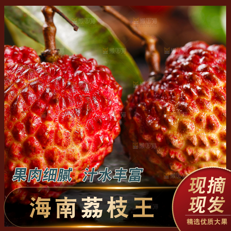 黑底上摆放着火山荔枝王