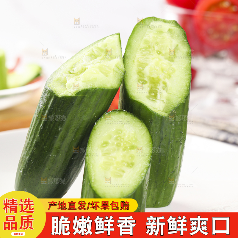 盘子里装着无刺小黄瓜