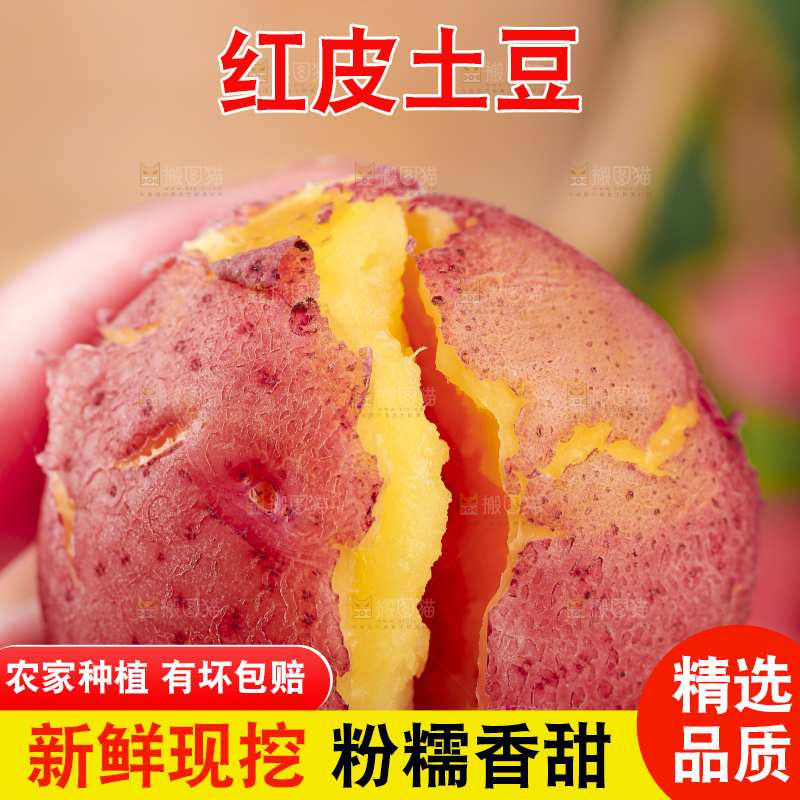 手里拿着红皮土豆