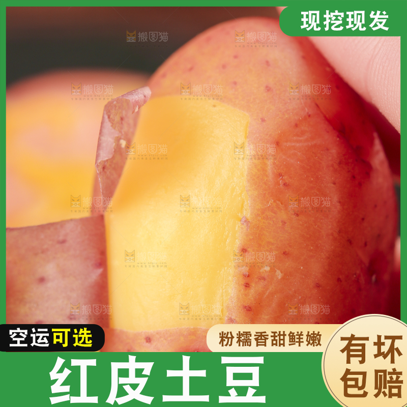手里拿着土豆