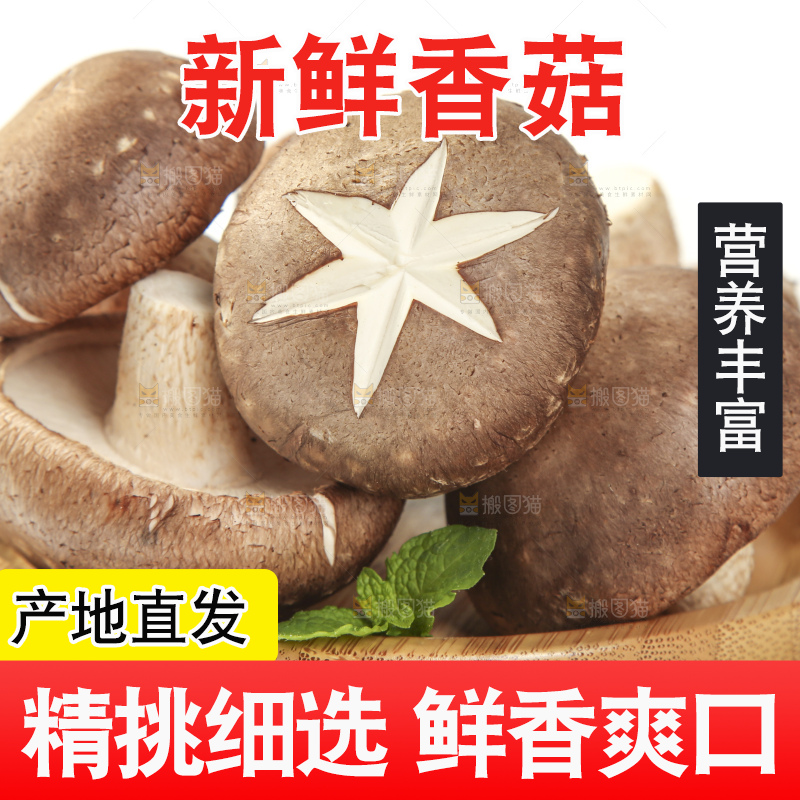 盘子里装着新鲜香菇