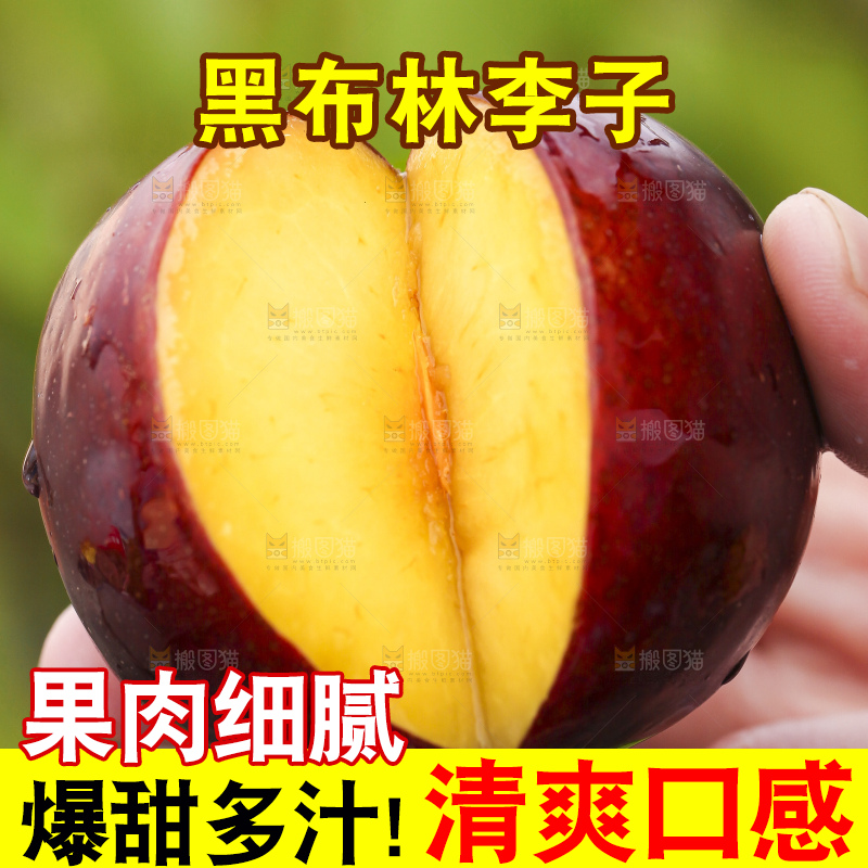 手里拿着黑布林