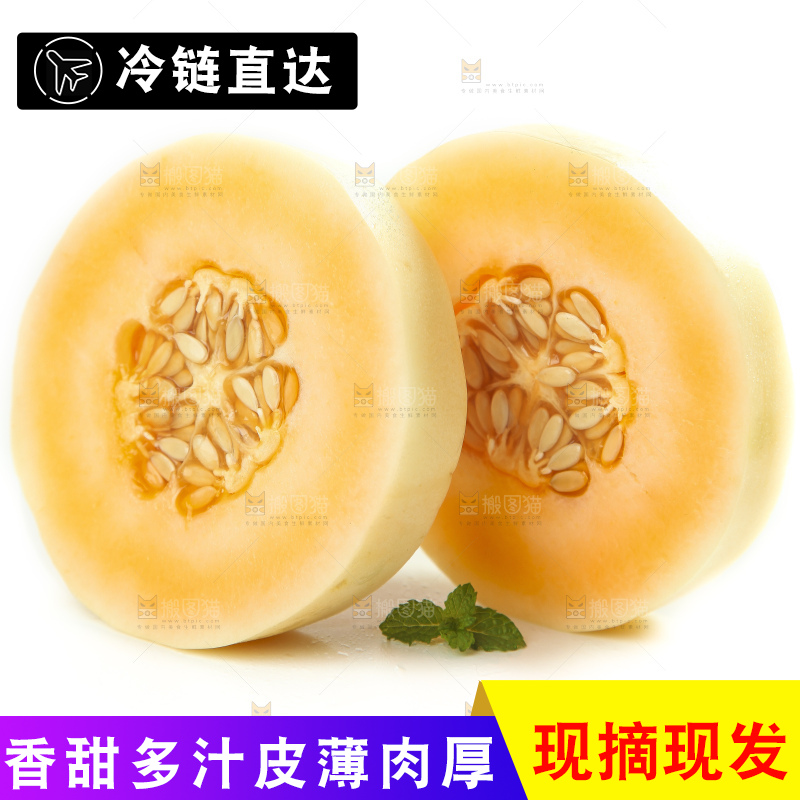 白底上摆放着台州东方蜜一号甜瓜