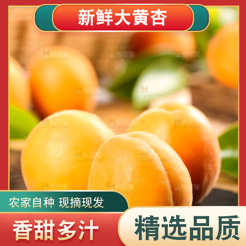 深底上放着黄杏