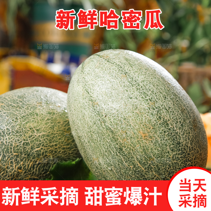 木底上摆放着网纹瓜