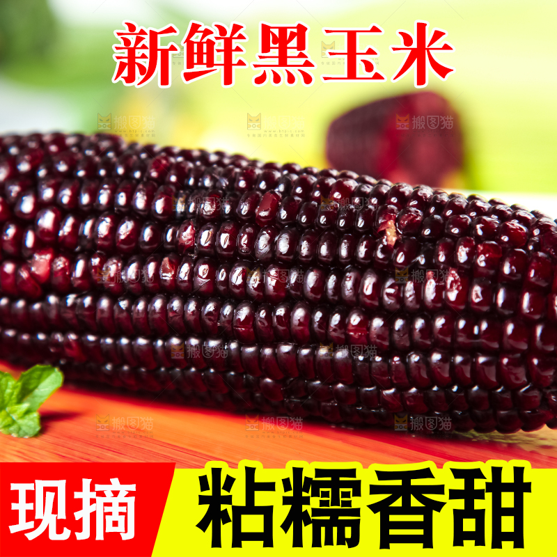 木板上放着黑玉米